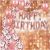 010Y -Rose Gold Birthday Decoration Combo - Set of 34