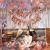 01K - Birthday Party Decoration Combo - RoseGold & Silver - Set of 51