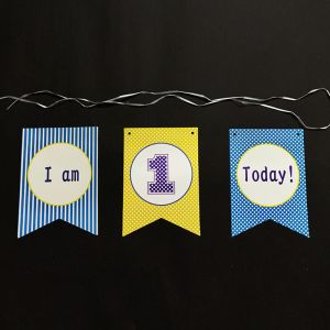 1st Birthday Happy Birthday Banner - Model 1001