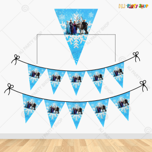 Frozen Theme Happy Birthday Flag Banner Decoration