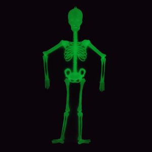 Glow in the Dark Skeleton - 5FT