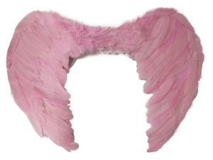 Pink Angel Wings 
