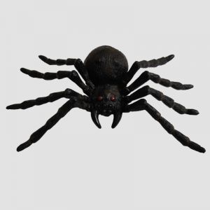Spider Black - Big Size