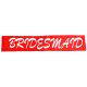 Bridesmaid Sash - Red