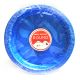 Disposables High Quality Blue Plates - Set of 10
