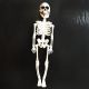 Fiber Skeleton Halloween Decoration