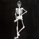 Glow in the Dark Skeleleton Body - 3 FT
