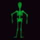 Glow in the Dark Skeleton - 3FT