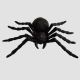 Spider Black - Big Size