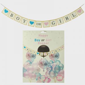 Baby Shower - Boy or Girl Baby Shower Banner - Model 001