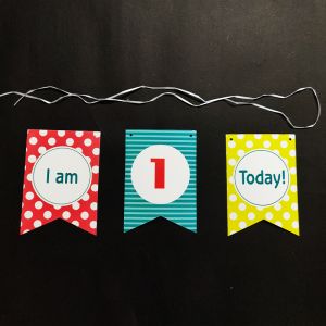 1st Birthday Happy Birthday Banner - Model 1003