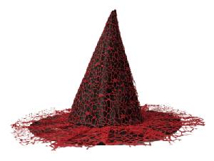 Witch Hat - Black & Red
